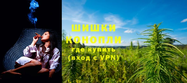 гидра Осинники
