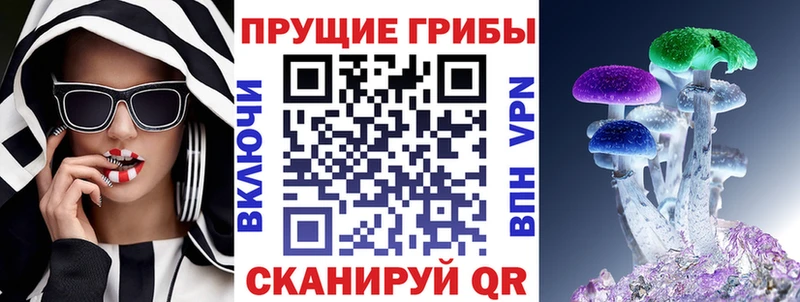 Псилоцибиновые грибы прущие грибы Екатеринбург